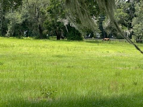 Farm Ranch in Reddick, Florida, United States 4 - 18203816