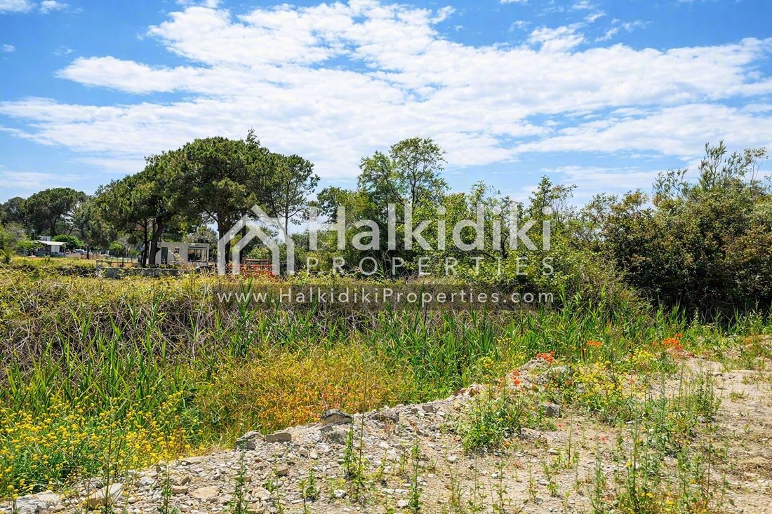 Terreno a Sithonia, Macedonia and Thrace, Grecia 5 - 11864992