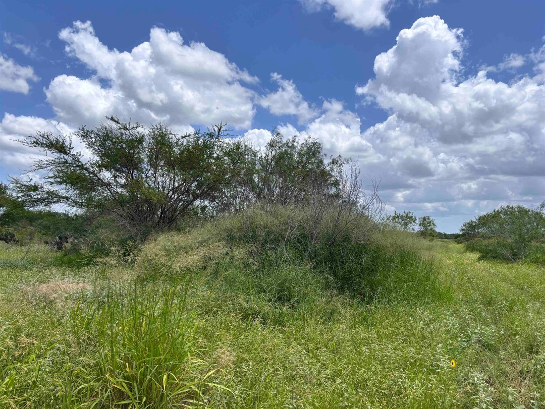 Land in Realitos, Texas, United States 4 - 18204086