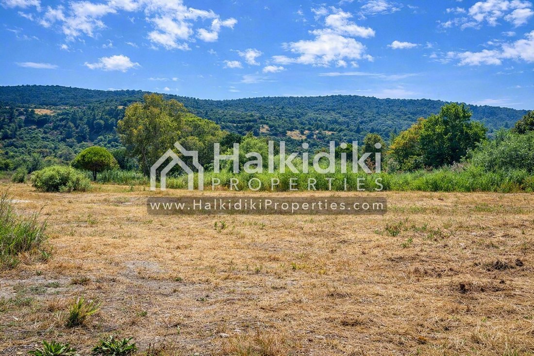 Land in Sithonia, Macedonia and Thrace, Greece 2 - 18203186