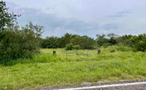 Land in Realitos, Texas, United States 1