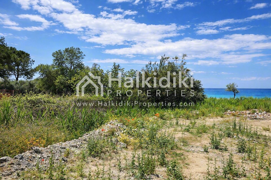 Terreno a Sithonia, Macedonia and Thrace, Grecia 3 - 12193752