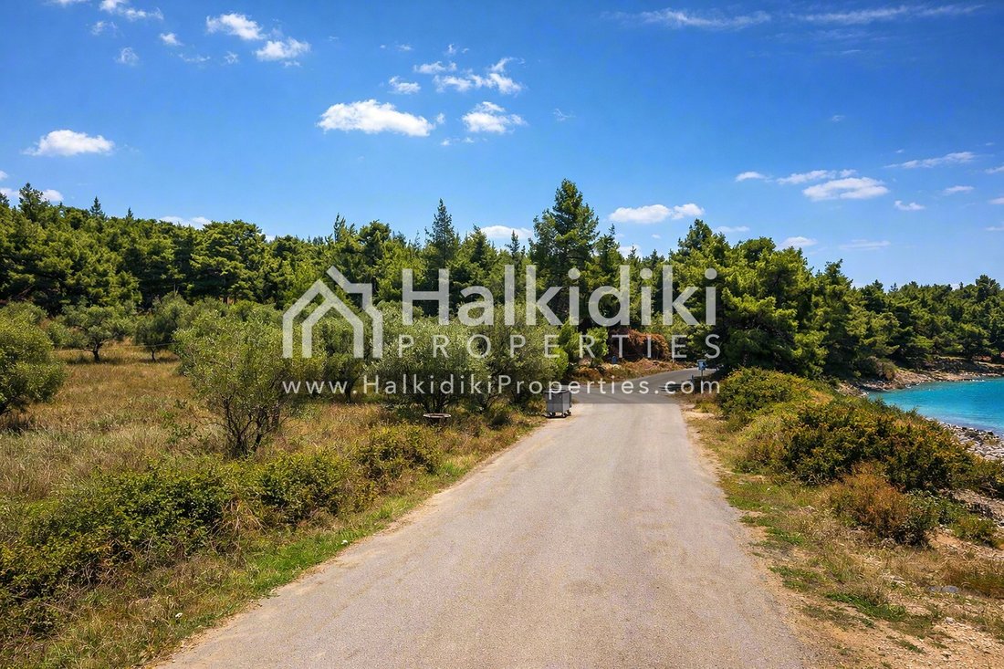 Land in Sithonia, Macedonia and Thrace, Greece 4 - 18203309