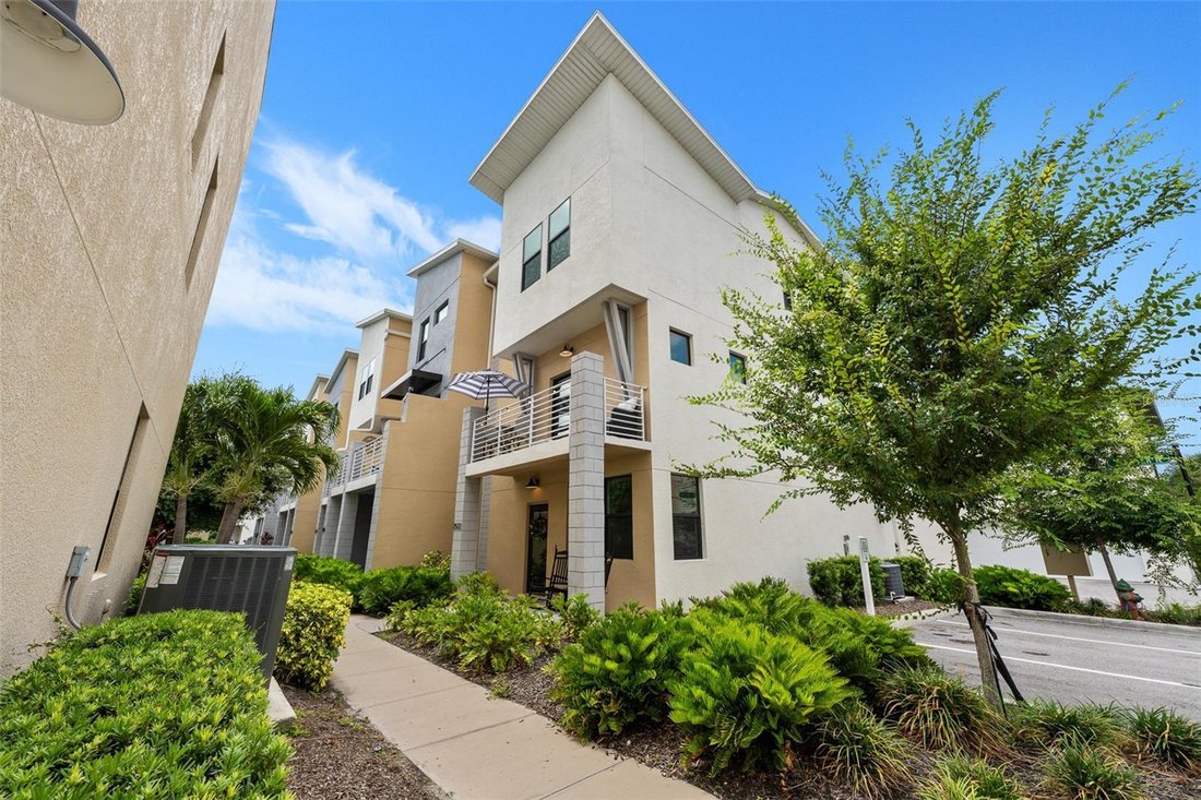 House in St. Petersburg, Florida, United States 2 - 18203796
