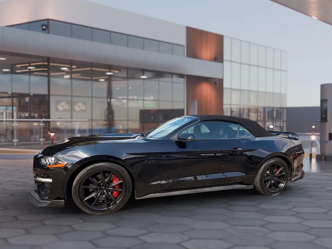 Cabriolet in Houston, TX, United States 3 - 18049081