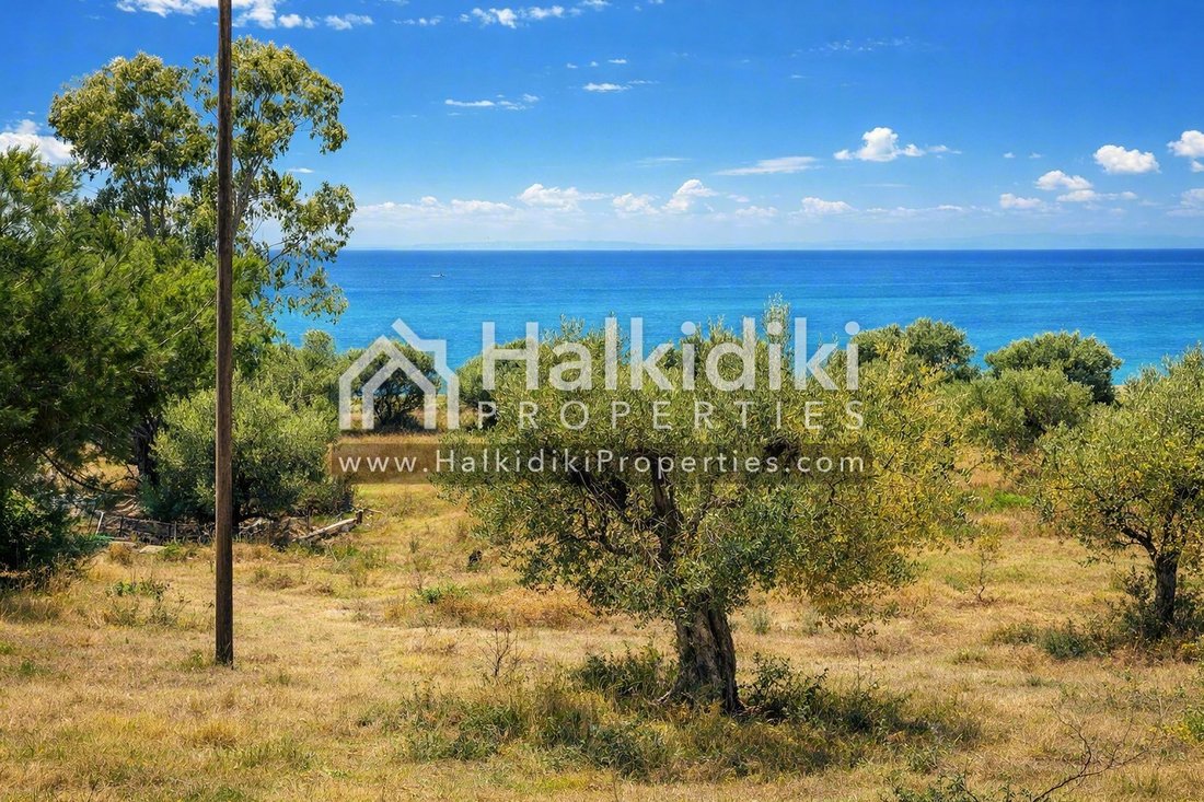 Land in Polygyros, Macedonia and Thrace, Greece 5 - 11865039