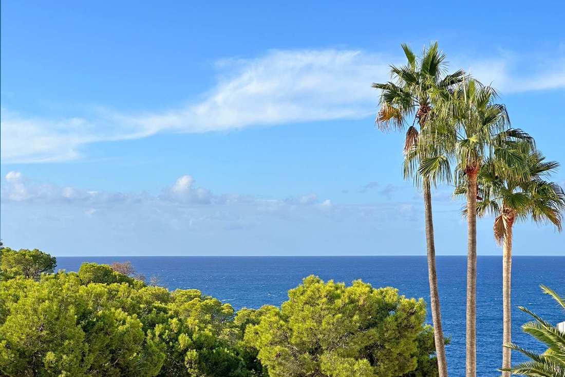 Villa in Port d'Andratx, Andratx, Balearic Islands 2 - 18200156