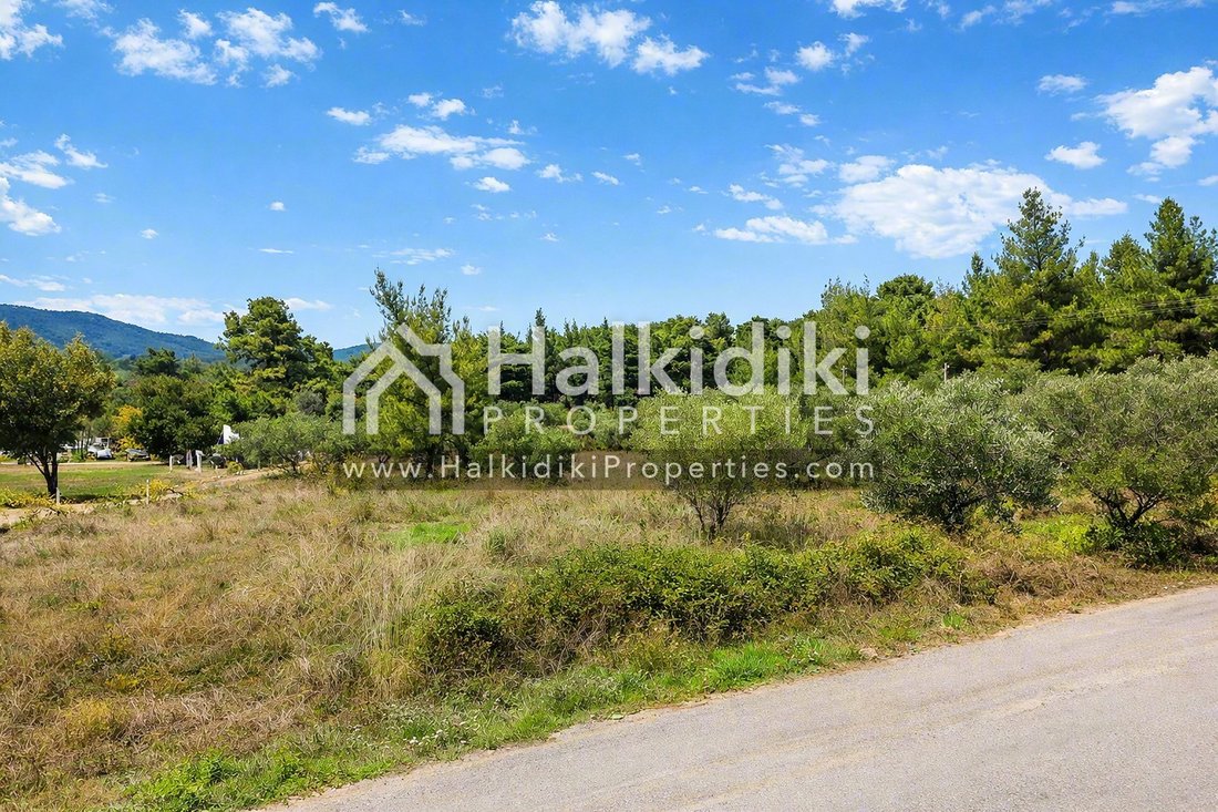 Land in Sithonia, Macedonia and Thrace, Greece 3 - 18203309