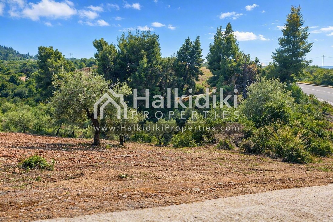 Land in Sithonia, Macedonia and Thrace, Greece 4 - 18203155