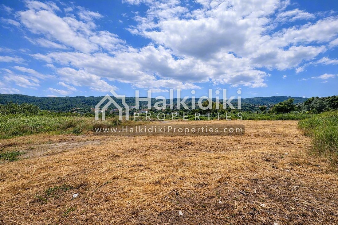 Land in Sithonia, Macedonia and Thrace, Greece 3 - 18203186