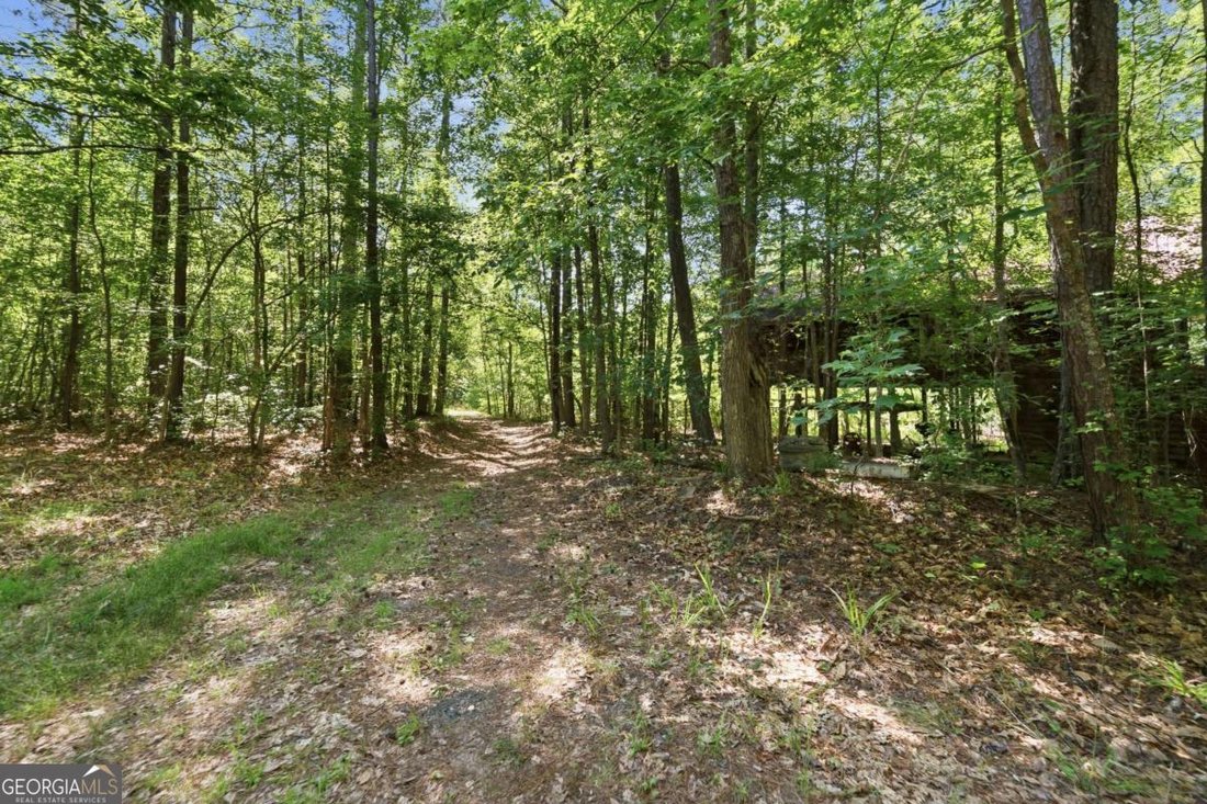 Land in Conyers, Georgia, United States 3 - 18200122