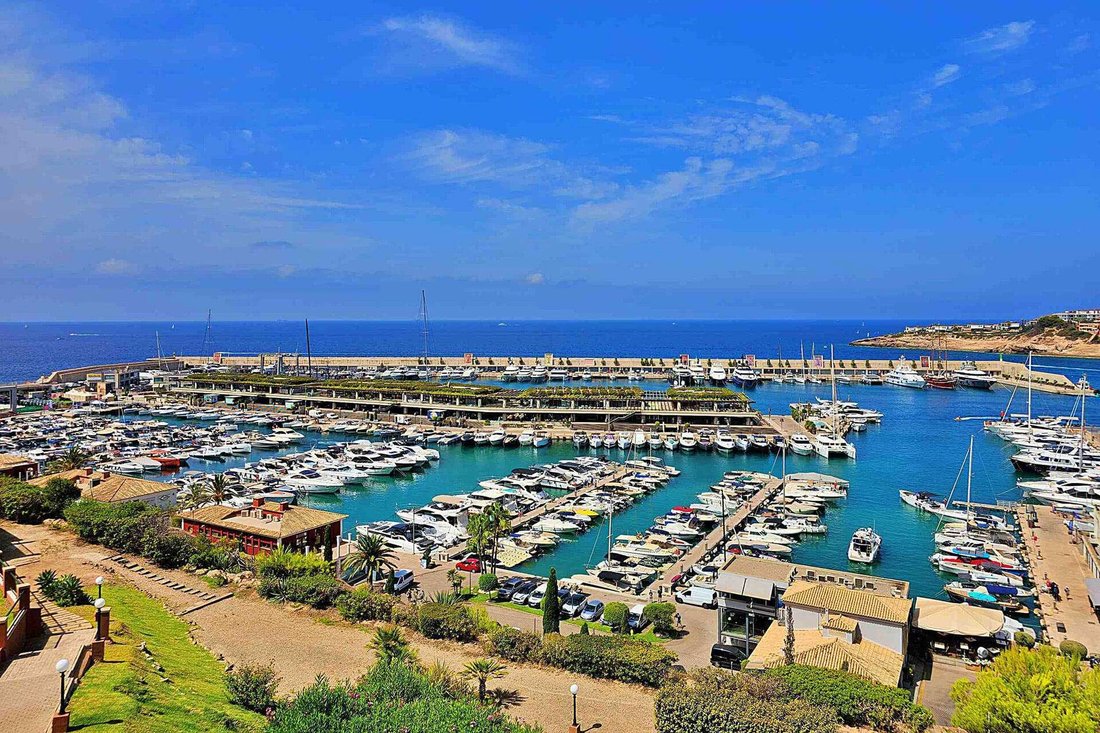 Apartment in Calvia, Balearic Islands, Spain 1 - 18203323