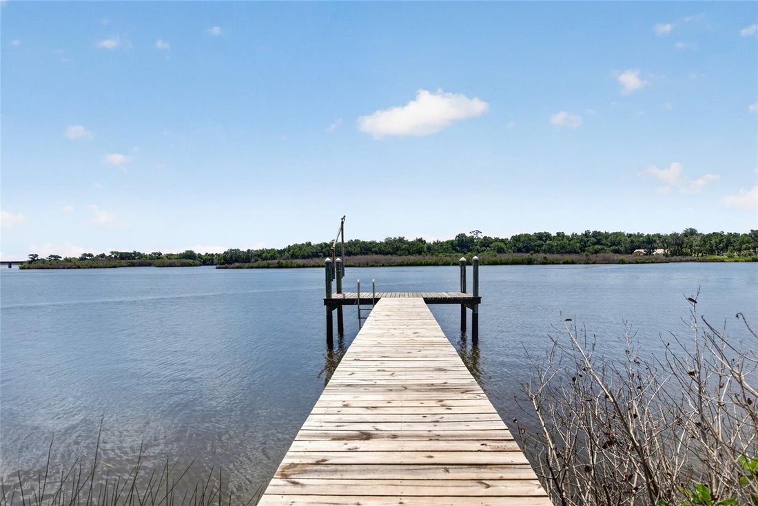 Casa a Port Orange, Florida, Stati Uniti 3 - 18203817