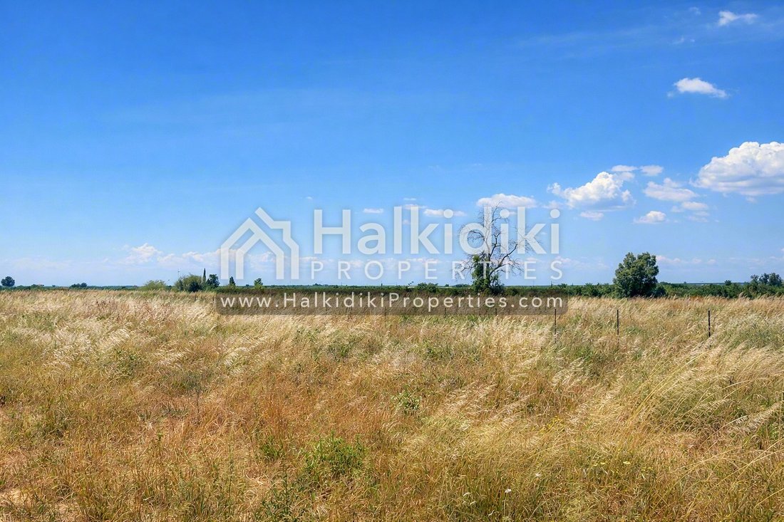 Land in Polygyros, Macedonia and Thrace, Greece 5 - 18203315