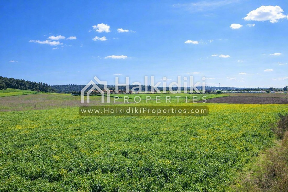 Land in Kassandra, Macedonia and Thrace, Greece 5 - 11865010