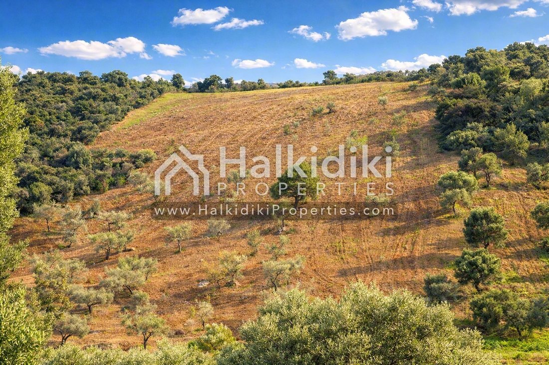 Land in Pallini Municipal Unit, Macedonia and Thrace, Greece 4 - 11865030
