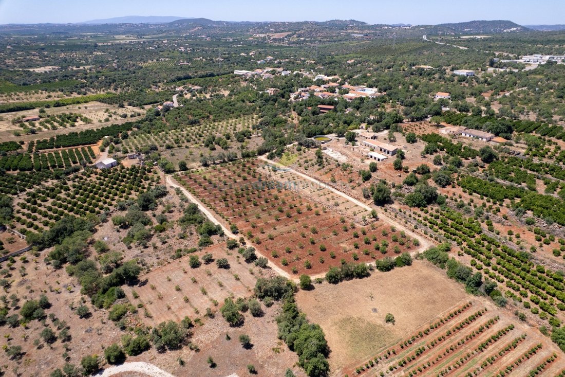 Finca in Sao Bartolomeu de Messines, Algarve, Portugal 5 - 17358125