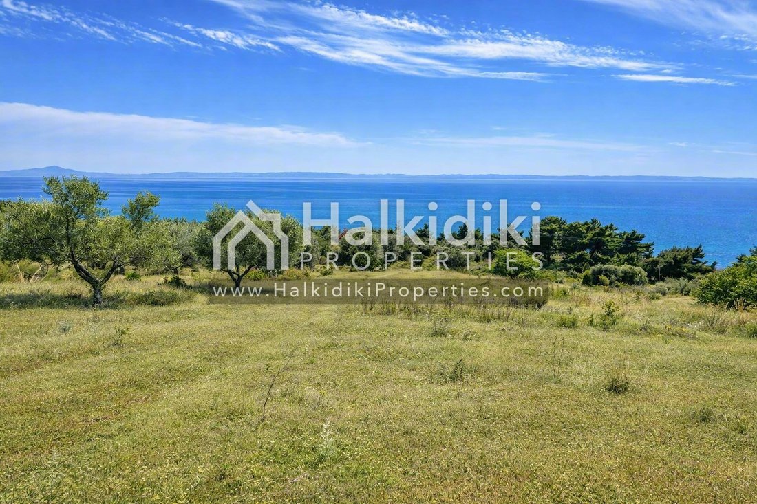 Land in Polygyros, Macedonia and Thrace, Greece 4 - 12034510