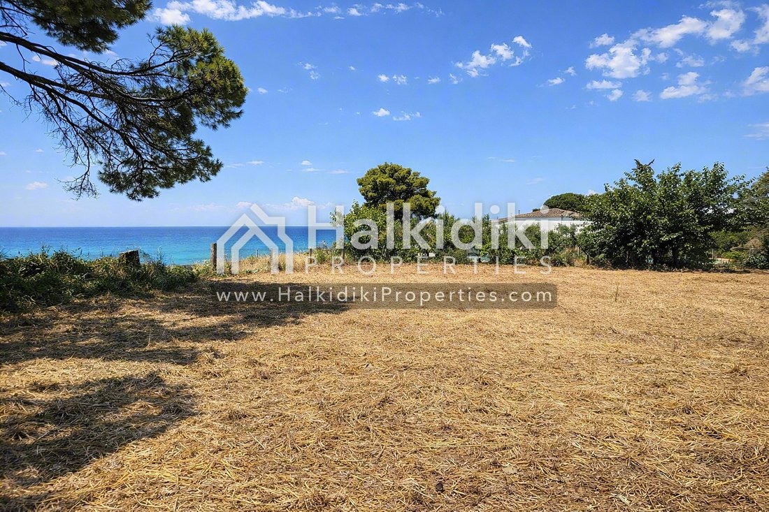 Land in Sithonia, Macedonia and Thrace, Greece 3 - 18203296