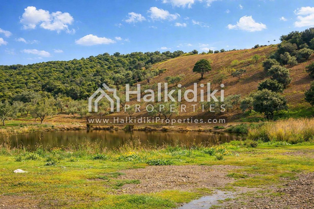 Land in Pallini Municipal Unit, Macedonia and Thrace, Greece 2 - 11865030