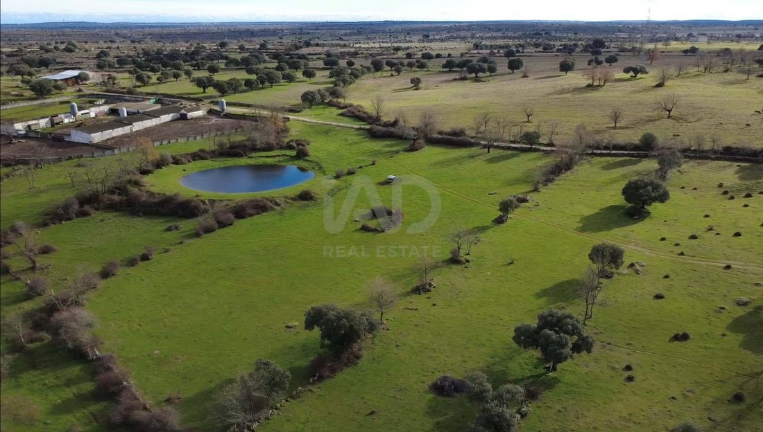 Land in El Manzano, Castile and Leon, Spain 3 - 17691949