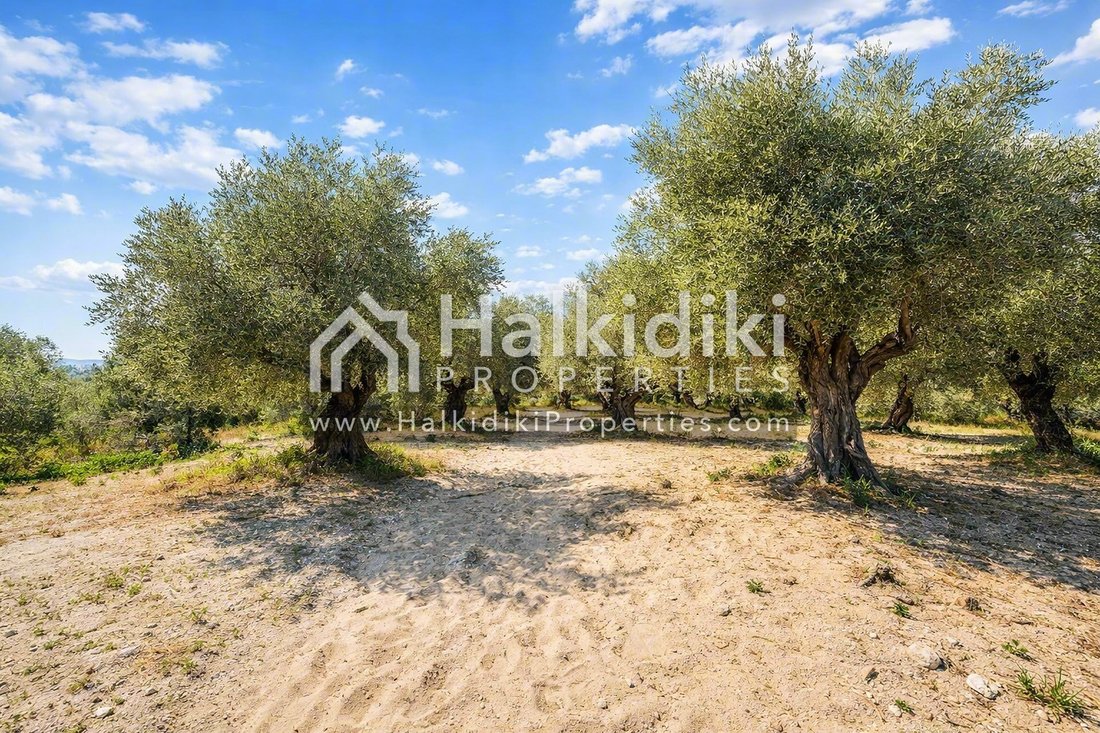Terreno a Sithonia, Macedonia and Thrace, Grecia 5 - 18203162