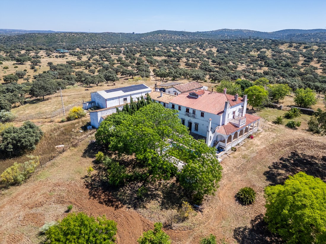 Finca in Castilblanco de los Arroyos, Andalusia, Spain 1 - 18201174