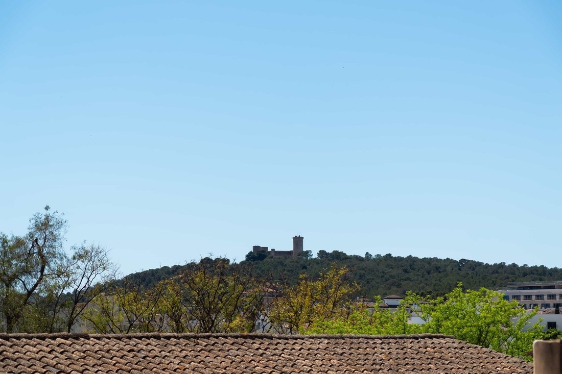 Townhouse en Palma, Islas Baleares, España 3 - 18200572