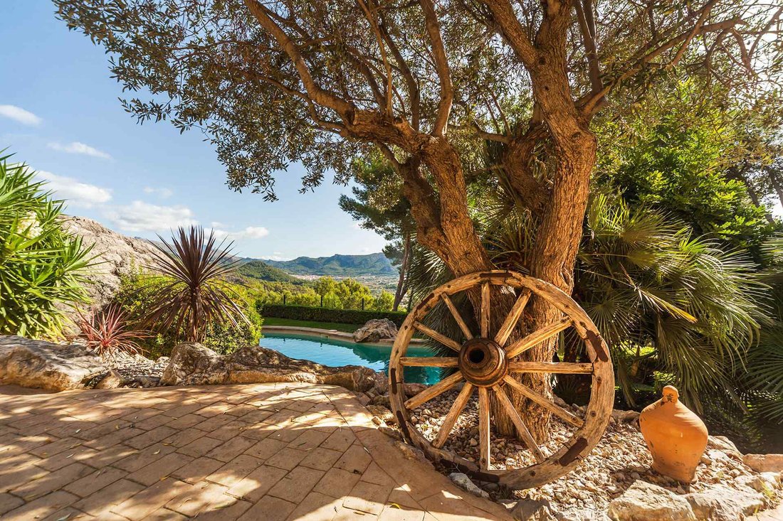 Finca in Port d'Andratx, Andratx, Balearic Islands 4 - 18199751