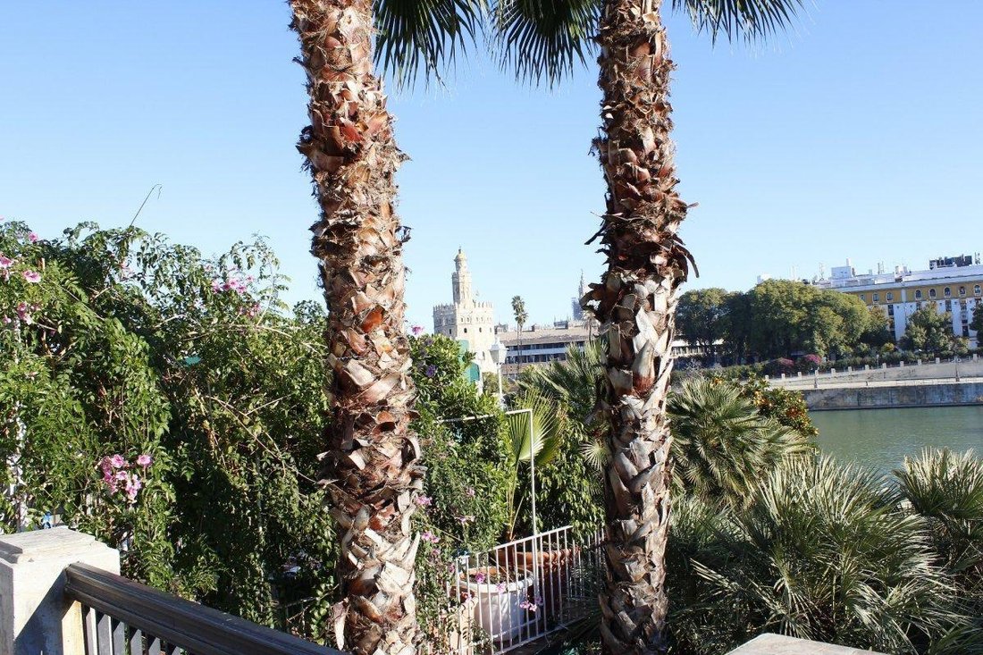 Apartment in Los Remedios, Seville, Spain 5 - 18203586