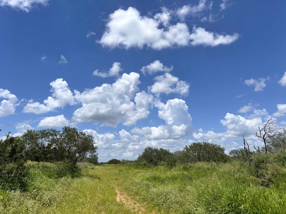 Land in Realitos, Texas, United States 2 - 18204086