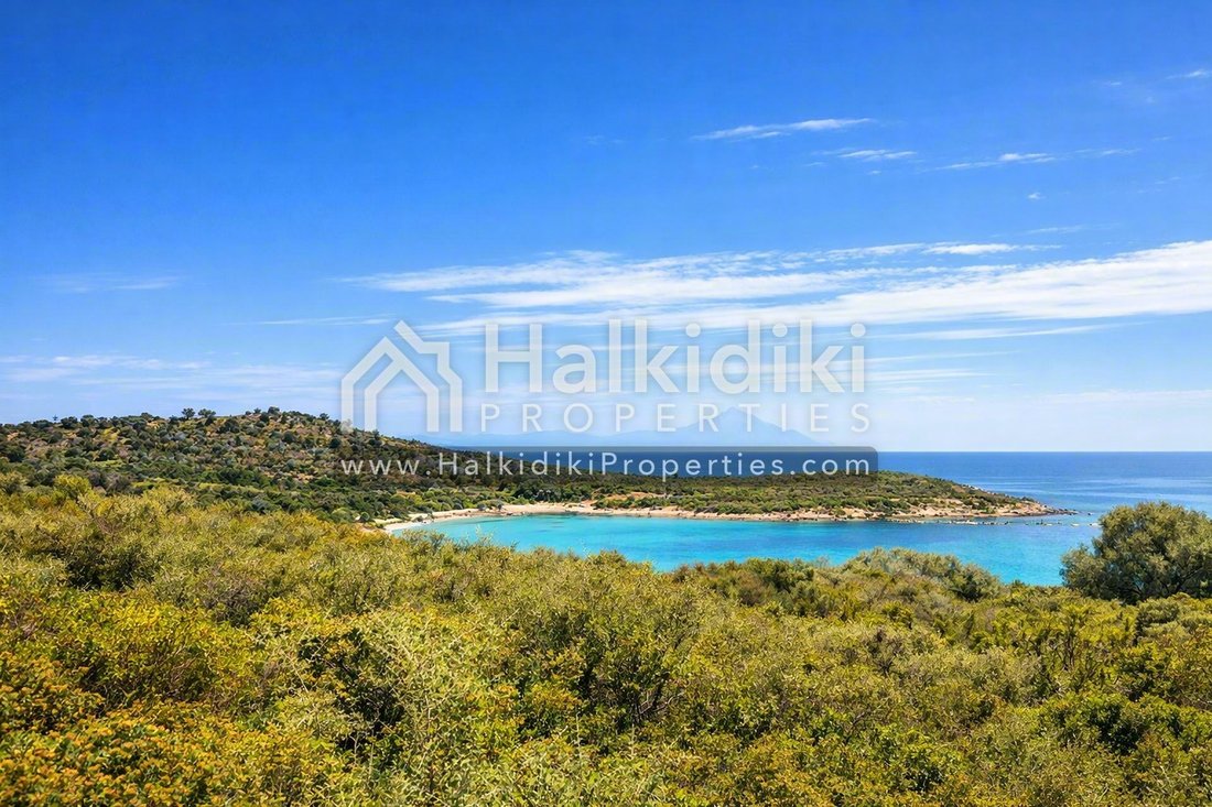 Land in Nisis Dhiaporos, Macedonia and Thrace, Greece 4 - 11865083