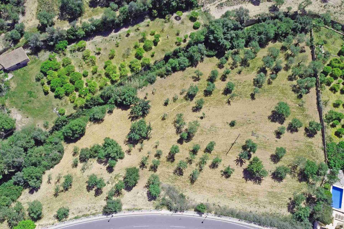 Land in Andratx, Balearic Islands, Spain 4 - 18203391