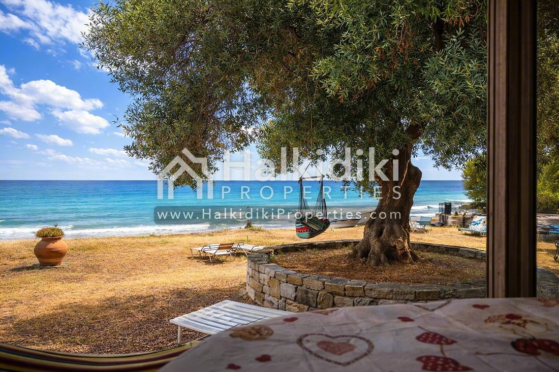 Land in Kassandra, Macedonia and Thrace, Greece 3 - 18203251