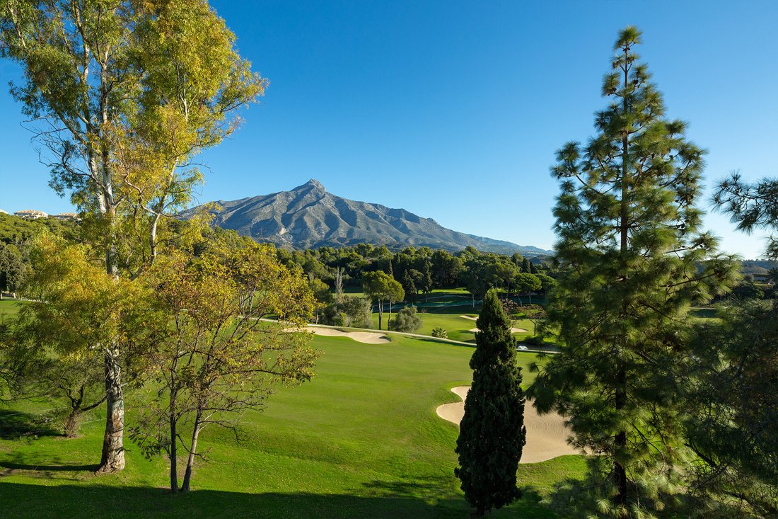 Villa in Puerto Banus, Marbella, Spain 4 - 18203434