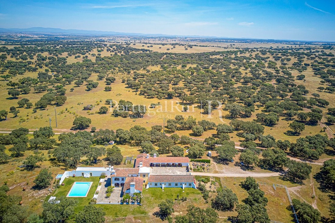 Finca in Monforte, Portalegre District, Portugal 4 - 18205747
