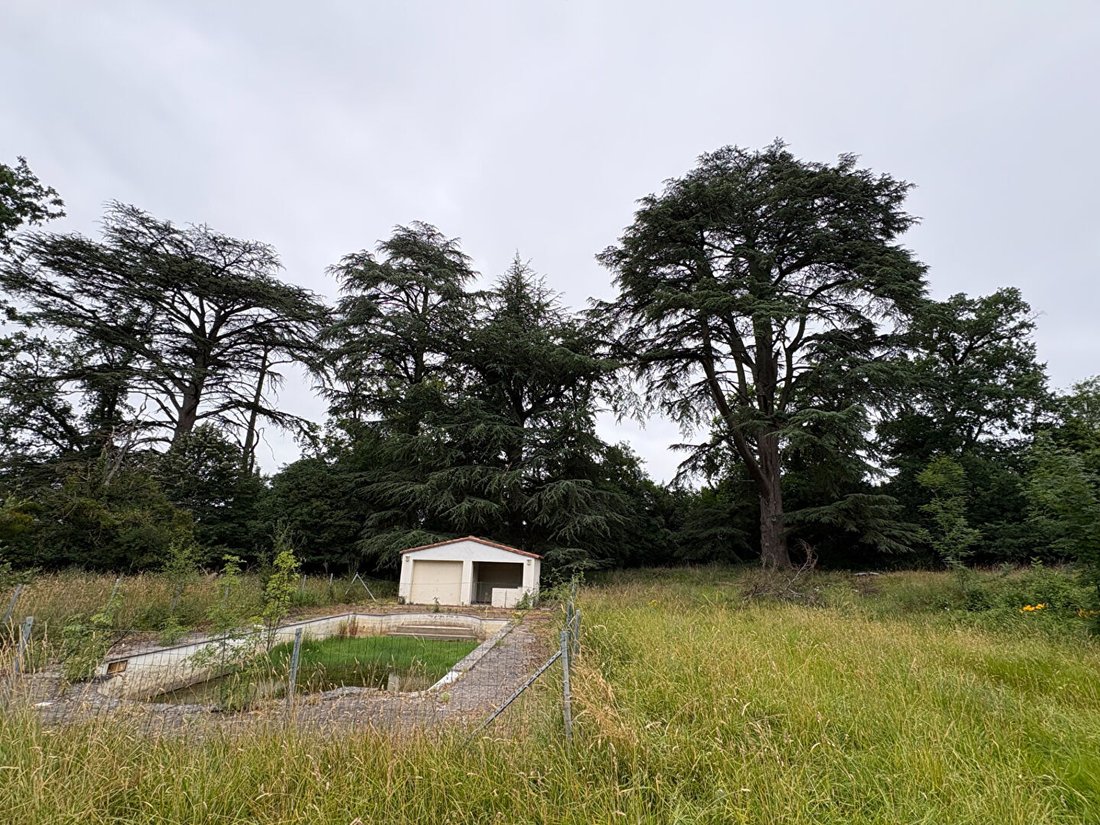 Villa in Soussac, Nouvelle-Aquitaine, France 5 - 18206012