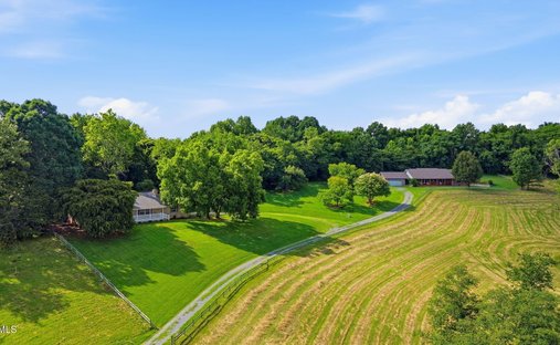 House in Limestone, Tennessee, United States 1