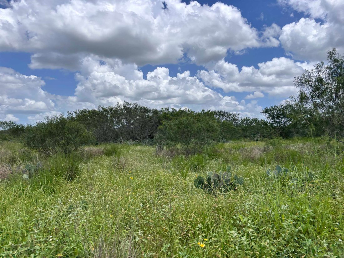 Land in Realitos, Texas, United States 5 - 18204086