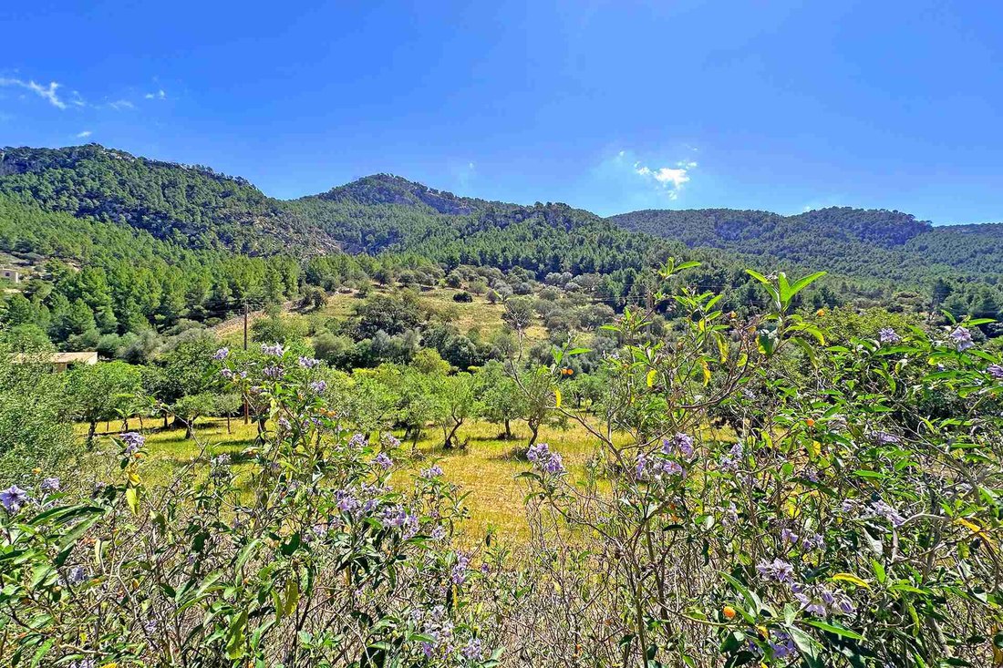 Land in Andratx, Balearic Islands, Spain 1 - 18203391
