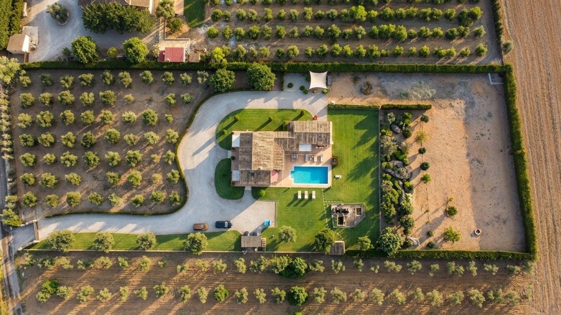 Finca in sa Pobla, Balearic Islands, Spain 5 - 18199750