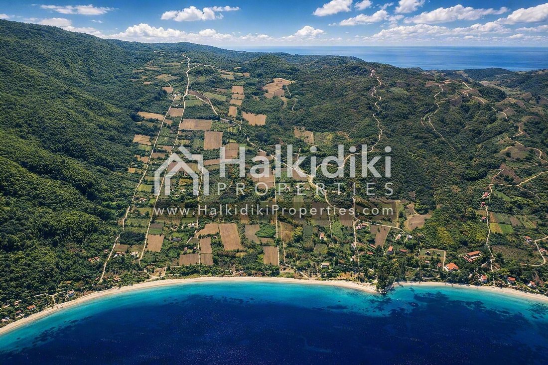 Land in Aristotle, Macedonia and Thrace, Greece 3 - 18203087