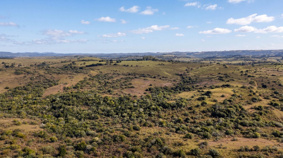 San Carlos, Maldonado Department, Uruguay 3 - 18205853