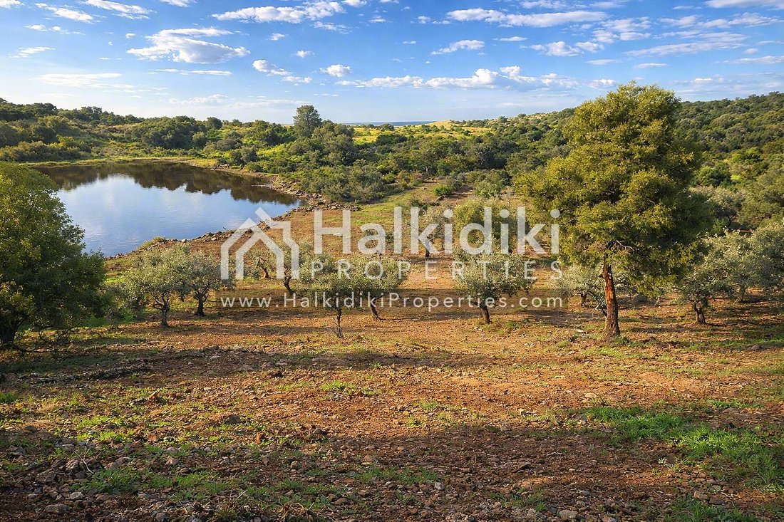Land in Pallini Municipal Unit, Macedonia and Thrace, Greece 3 - 11865030