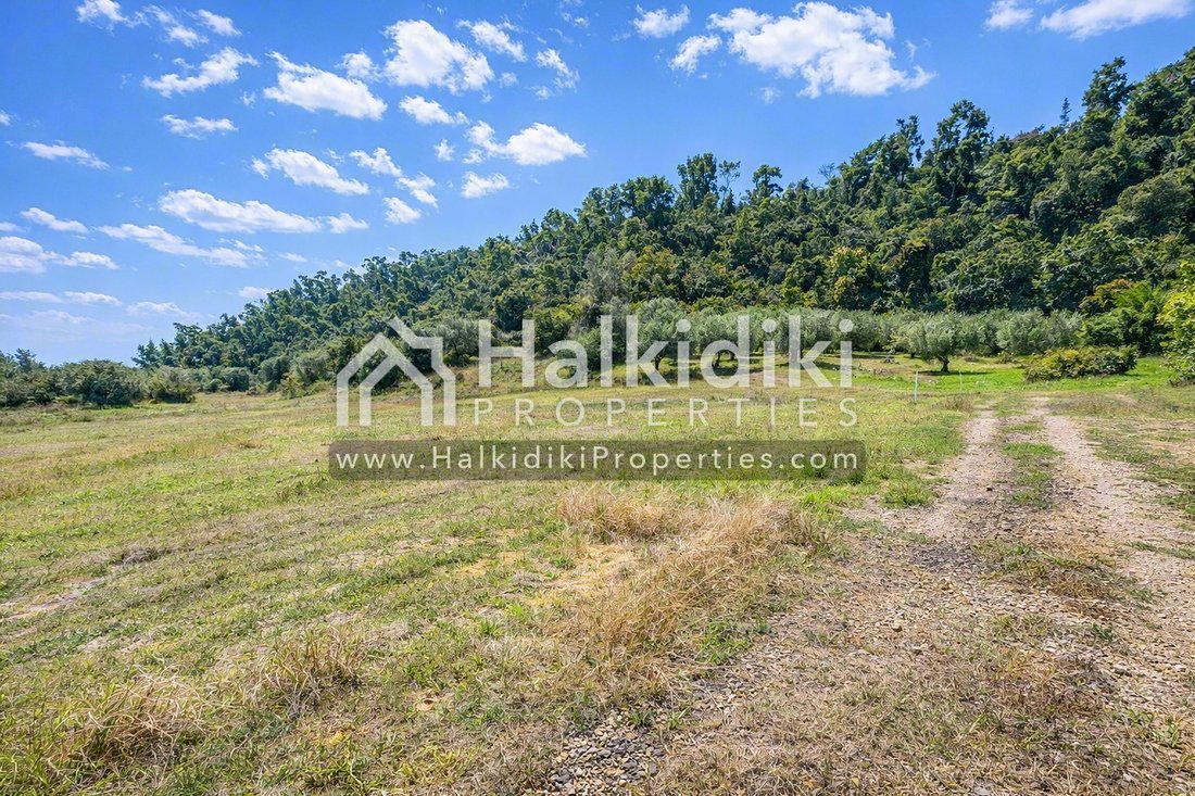 Land in Pallini Municipal Unit, Macedonia and Thrace, Greece 4 - 18203167