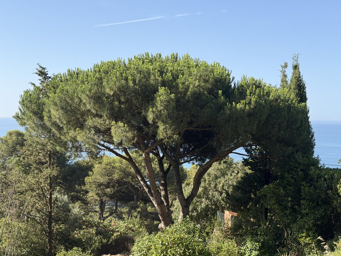 Land in Espace Villeroy-Les Quilles, Sète, France 5 - 18200628