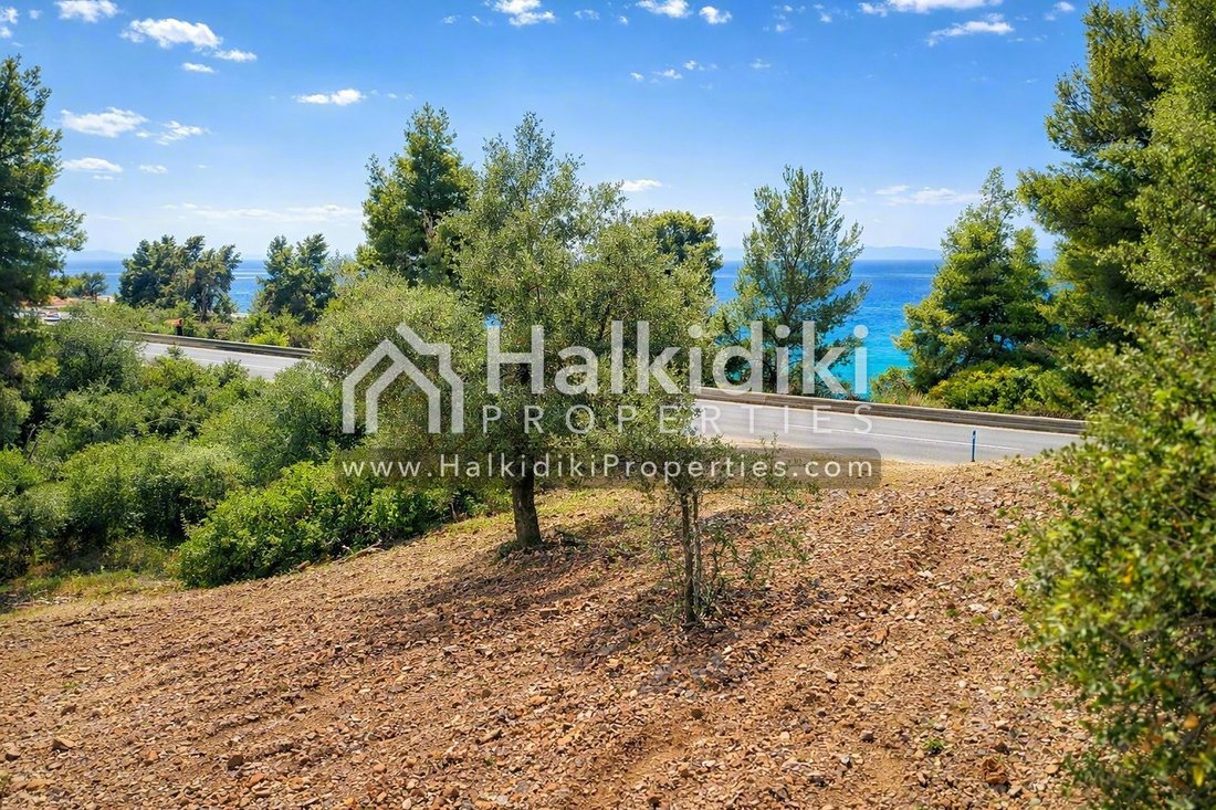 Land in Sithonia, Macedonia and Thrace, Greece 3 - 18203155