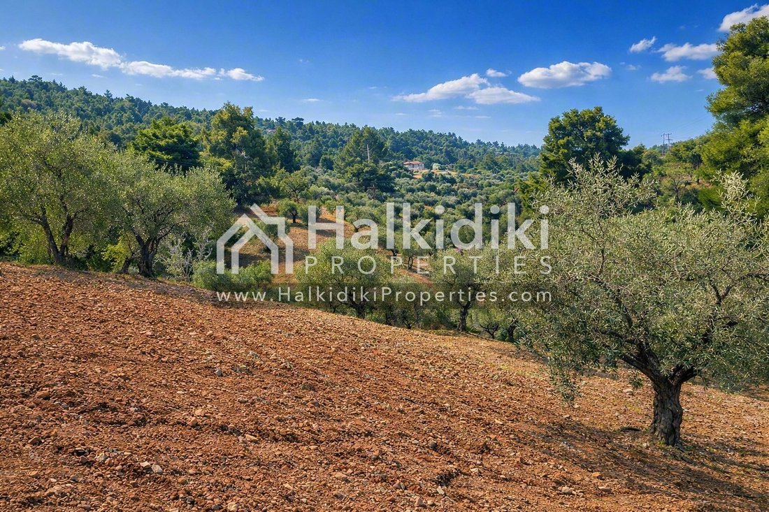 Land in Sithonia, Macedonia and Thrace, Greece 5 - 18203155