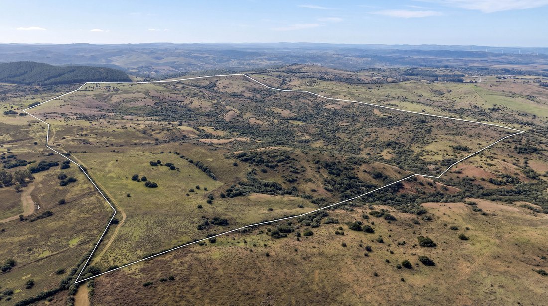 San Carlos, Maldonado Department, Uruguay 1 - 18205853
