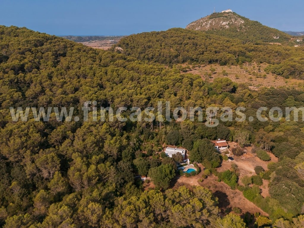 House in es Mercadal, Balearic Islands, Spain 4 - 18201105
